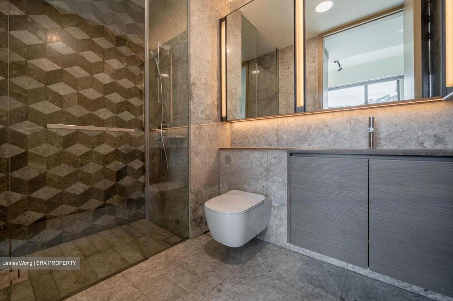 Leedon Green (D10), Condominium #424544351